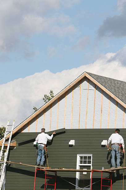 Best Storm Damage Siding Repair  in , TN